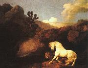 George Stubbs A Horse Frightened by a Lion china oil painting artist